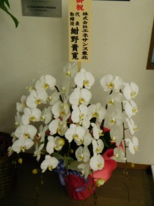 エネサンス東北