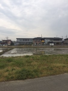 南仙台の水田を売却します。
