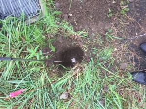 地中深くに埋もれていた杭です。