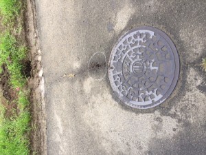 この小さな鋲を境に道路と水路に分かれます。
