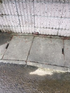 杭を交わして建てられたブロック塀です。
