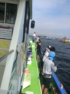 IMG-8266