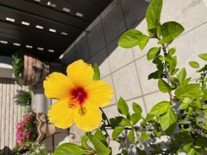 IMG_5711