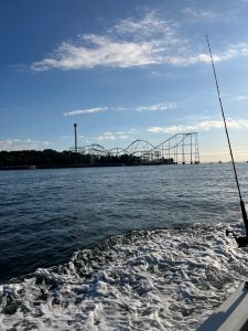 IMG_5742