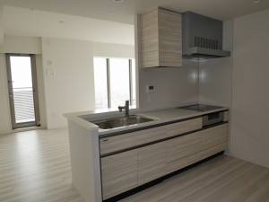 s-P1020765