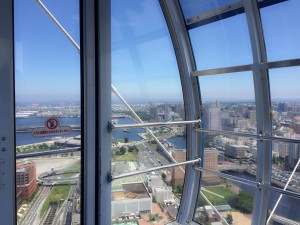 IMG_0219