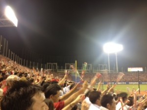プロ野球観戦