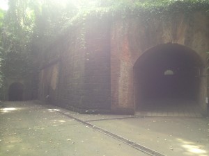 IMG_1339
