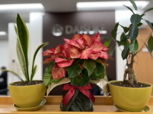IMG_E8914