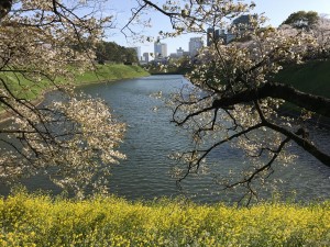 IMG_9462