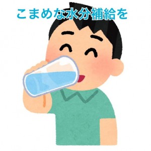 ブログ写真
