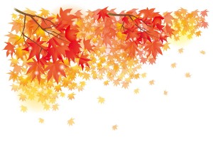 publicdomainq-0012882eni