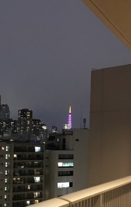 IMG_0201