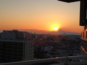 IMG_0690