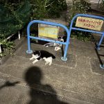 IMG_4568[1]