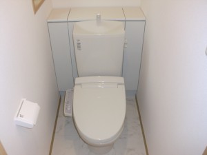 CIMG2461