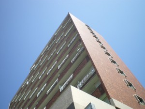 s-IMGP6855