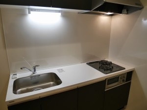 s-P1010920