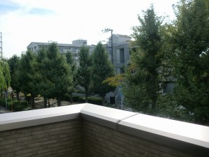 s-CIMG0652