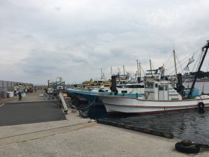 IMG_0203