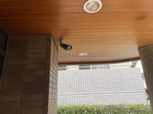 IMG_6720