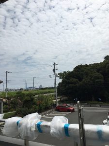 バルコニーからの眺め