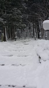 20180103_124049