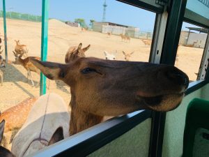 IMG-0775