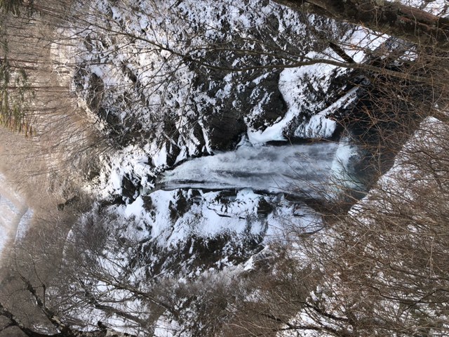 image1