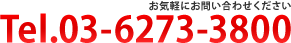 03-6273-3800