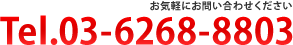 03-6273-3800
