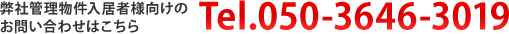 050-3646-3019
